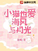 小貓也愛海風與月光